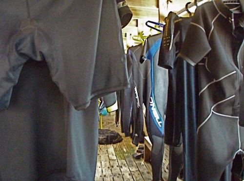 Designer wetsuits hang ready for Blacktip Island’s Underwater Fashion Week.