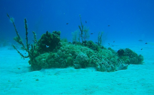 Reactor Reef was one of Blacktip’s most popular night dive spots before the Caribbean island’s authorities closed the site.